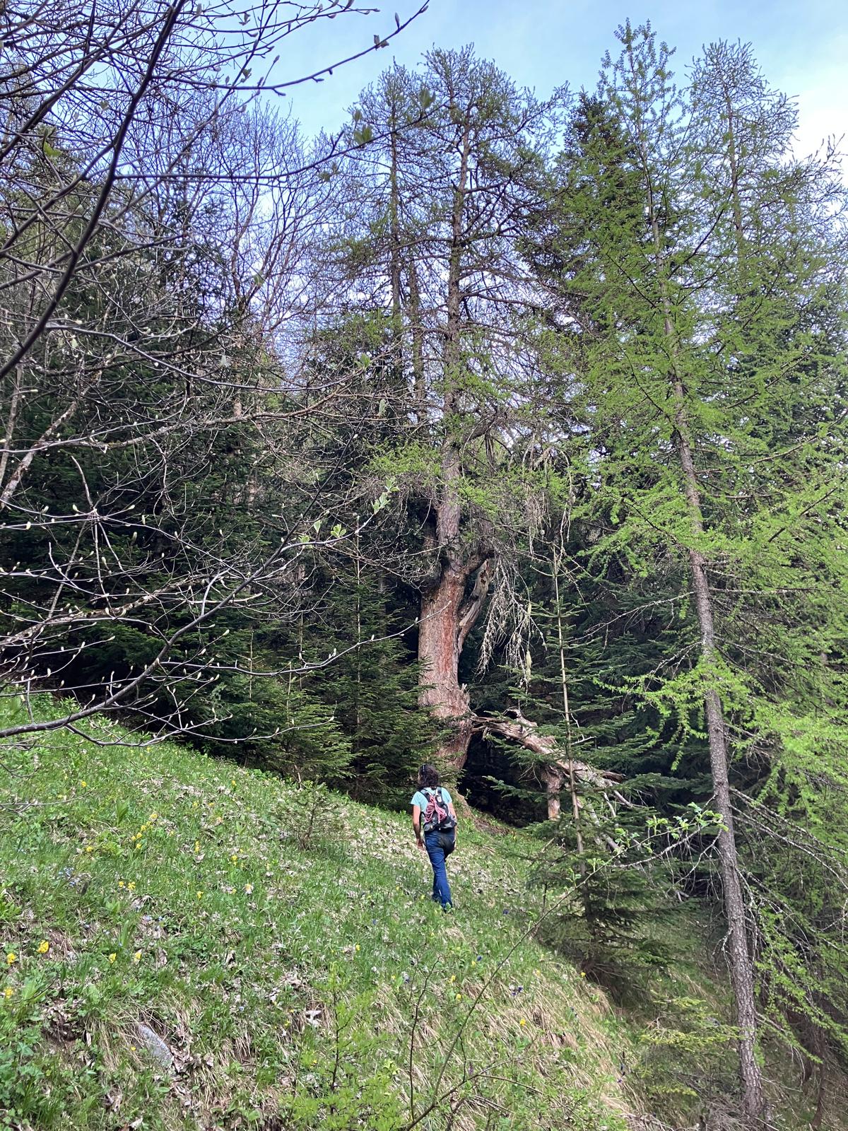 Suivez-moi dans des lieux propices à la reconnexion.